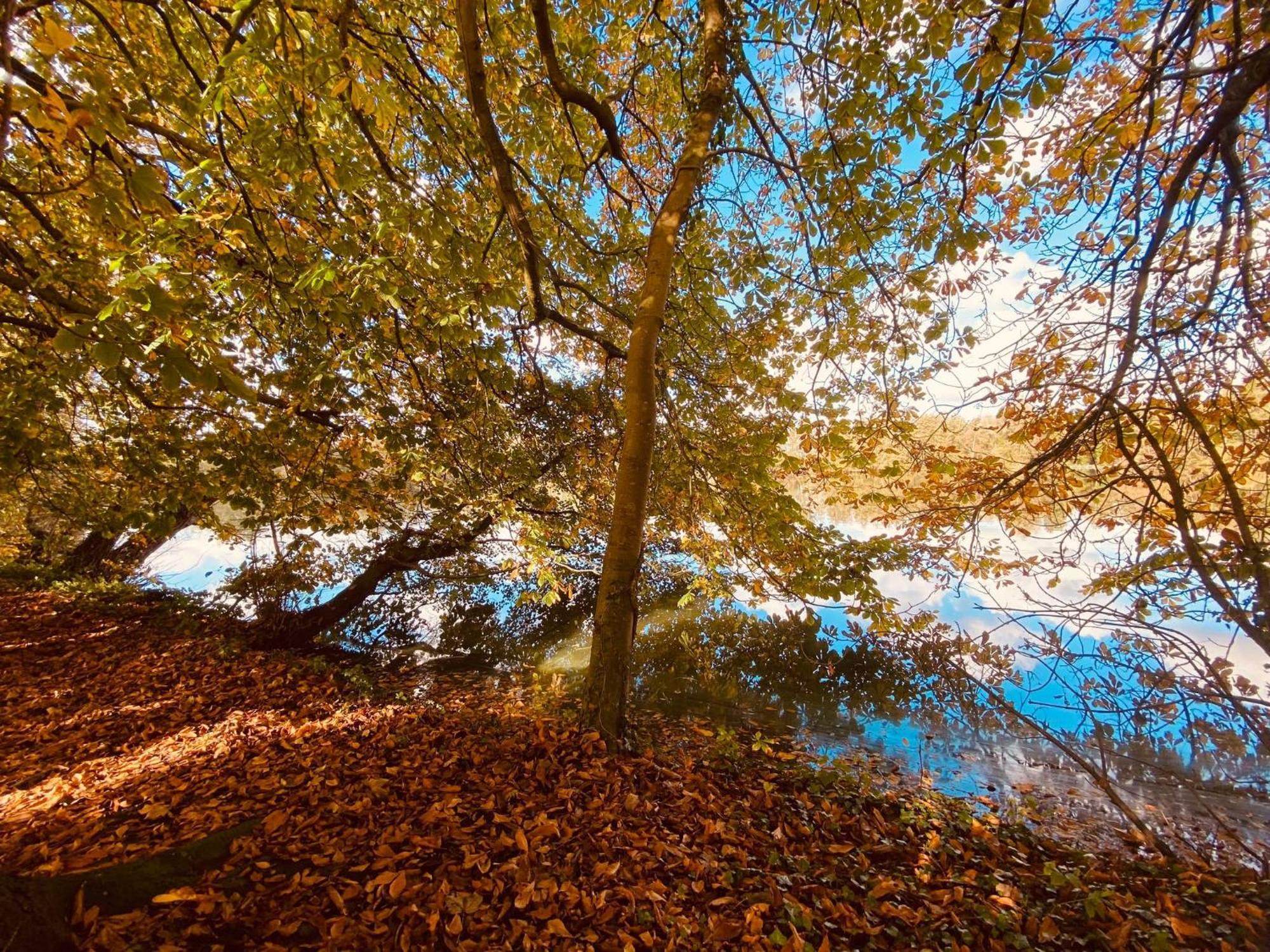 Studio Premium, A 50M Du Lac D'Ardres Avec Terrasse Exterior foto